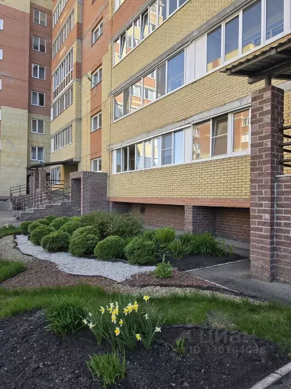 Студия Омская область, Омск Звездная ул., 12 (27.0 м) - Фото 1