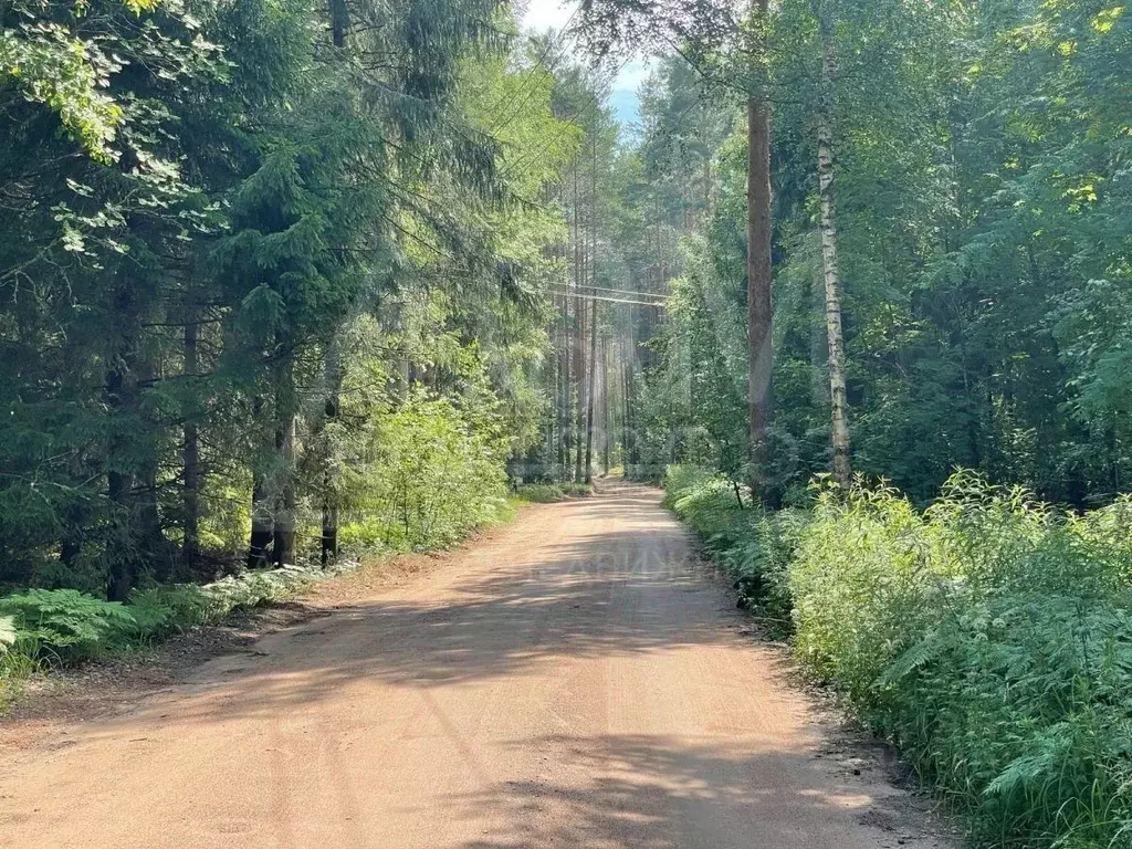 Участок в Ленинградская область, Приозерский район, Ларионовское ... - Фото 1