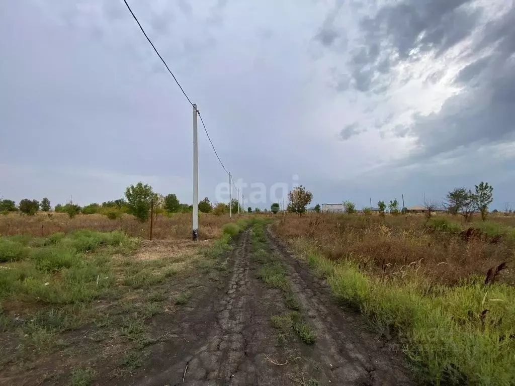 Участок в Краснодарский край, Красноармейский район, Полтавская ст-ца ... - Фото 1