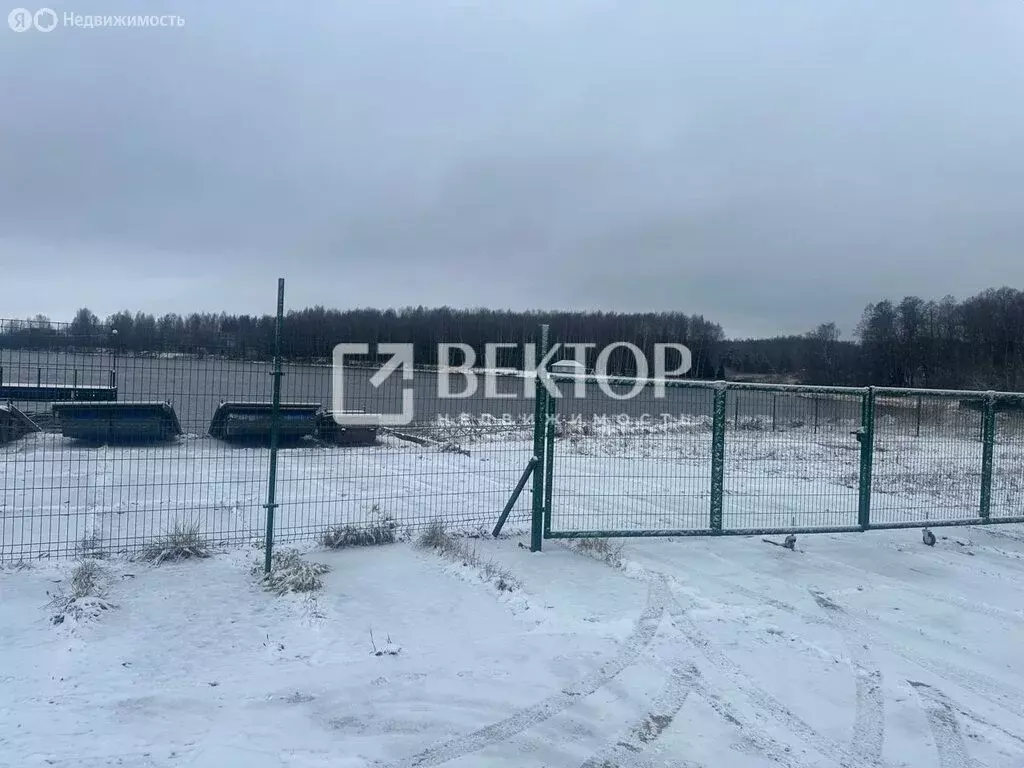 Участок в Красносельский район, Боровиковское сельское поселение, ... - Фото 2