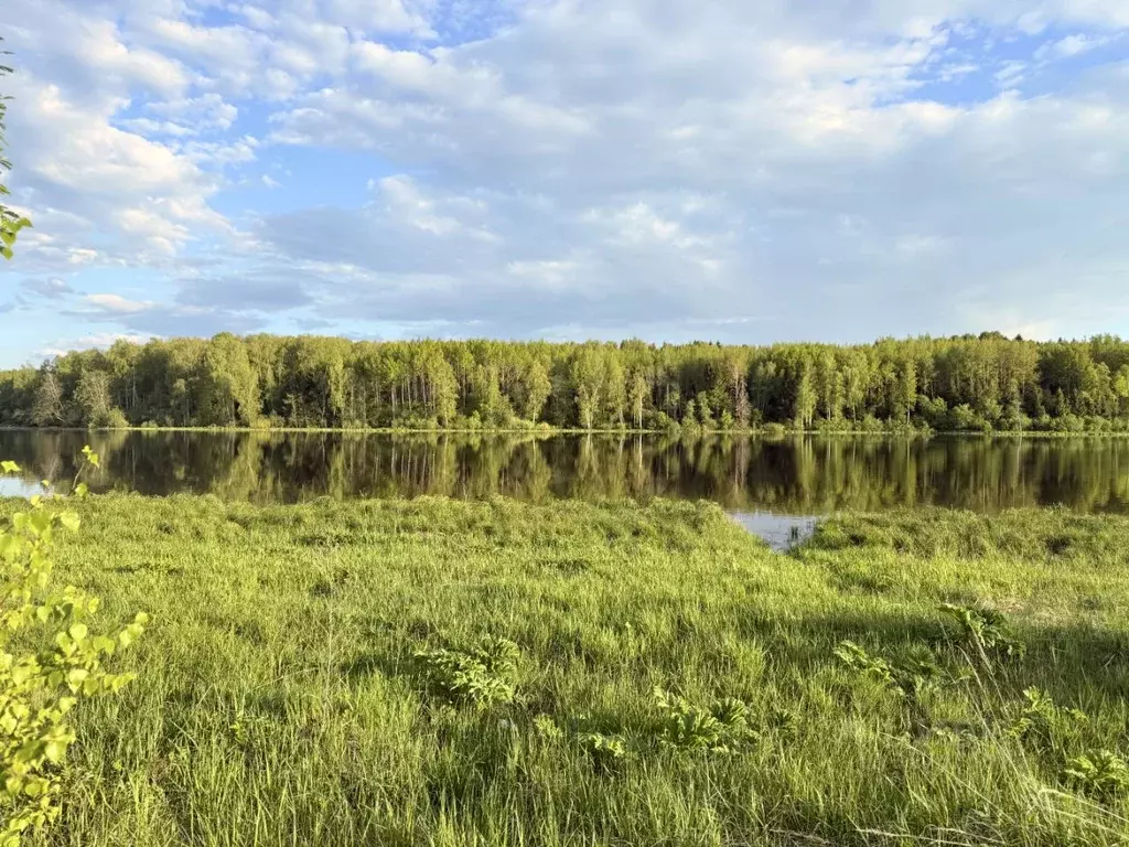 Участок в Московская область, Волоколамский муниципальный округ, д. ... - Фото 2