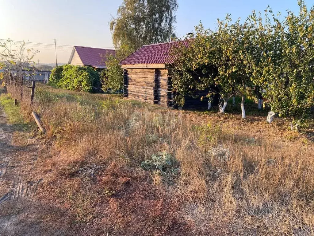 Купить Участок В Медовке Воронежской Области