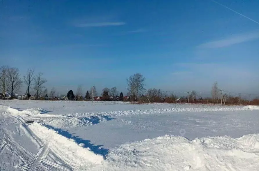 Коттедж в Новосибирская область, Новосибирский район, с. Кубовая, ... - Фото 1