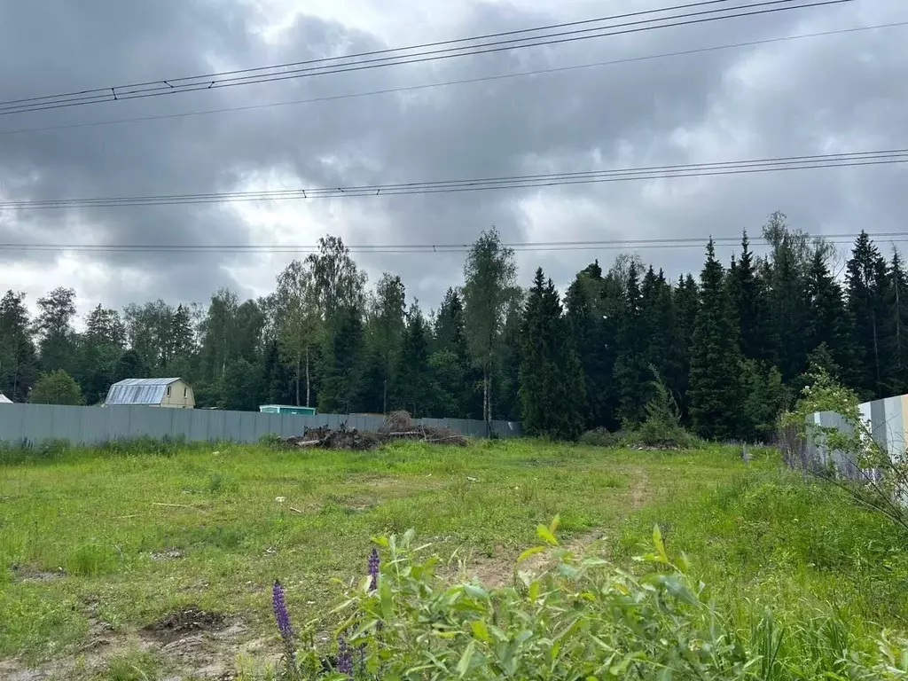 Участок в Московская область, Щелково городской округ, Заозерный СНТ  ... - Фото 0