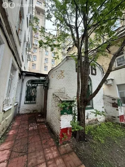 Помещение свободного назначения (40.8 м) - Фото 2