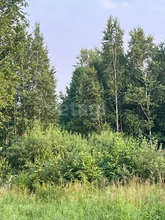 Участок в Амурская область, Благовещенск Игнатьевское ш. (10.0 сот.) - Фото 0
