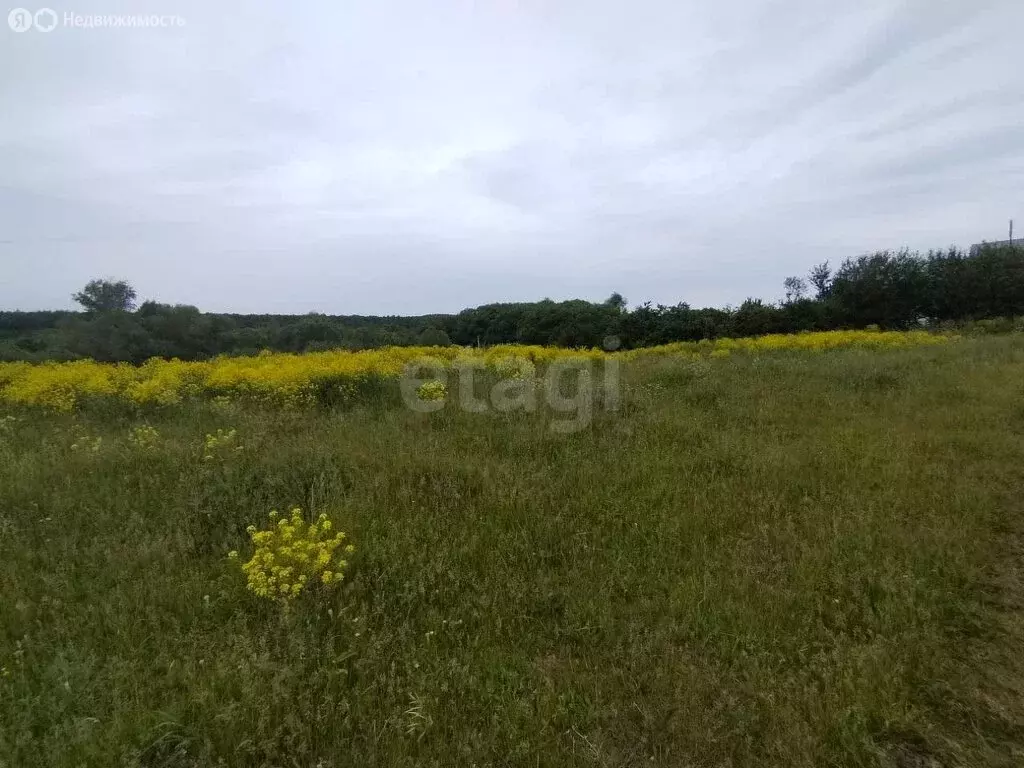 Участок в село Новое Акшино, Красносельская улица (30 м) - Фото 0