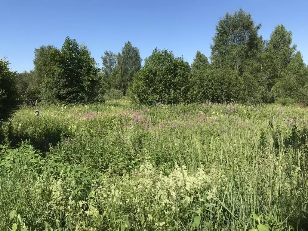 Участок в Новгородская область, Маловишерское городское поселение, д. ... - Фото 0