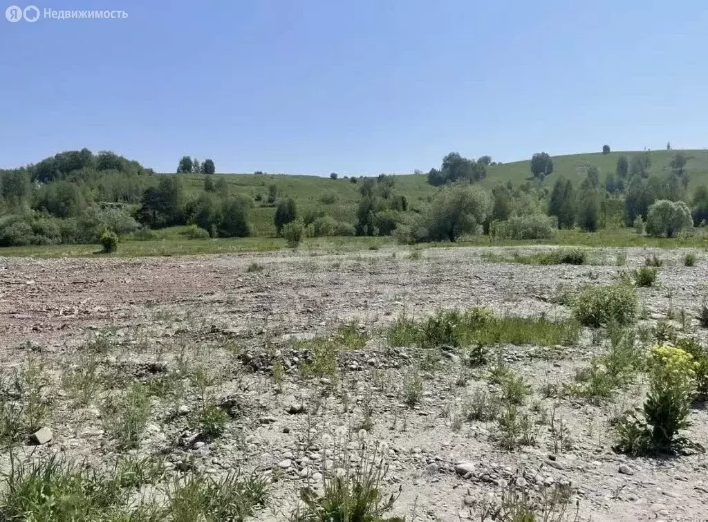 Участок в Майминский район, село Майма (47 м) - Фото 2