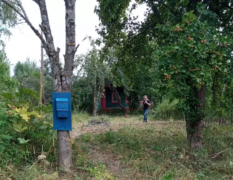 Дом в Тверская область, Кесовогорский муниципальный округ, д. Лисково ... - Фото 1