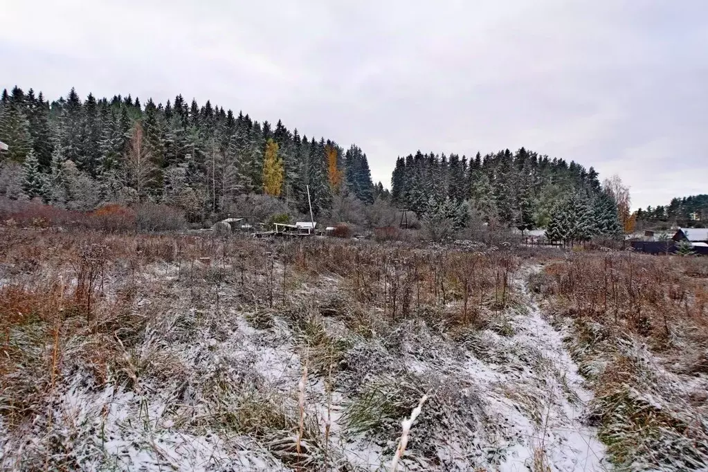 Участок в Карелия, Лахденпохский район, Куркиекское с/пос, пос. ... - Фото 1