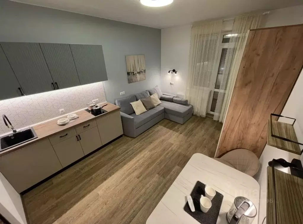 Студия Санкт-Петербург просп. Авиаконструкторов, 61 (23.0 м) - Фото 2