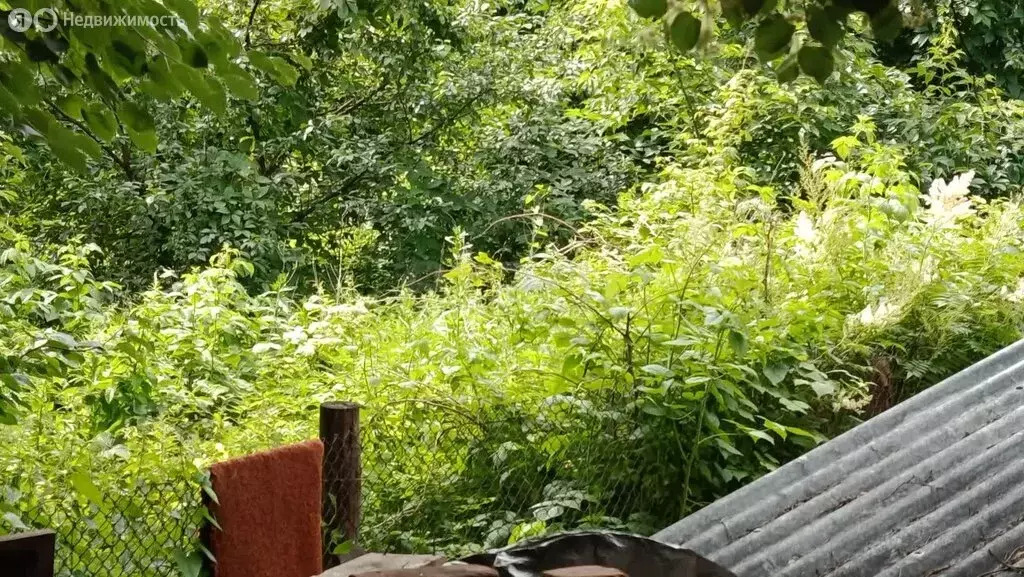 Участок в Кострома, улица Ленина (8.15 м) - Фото 2