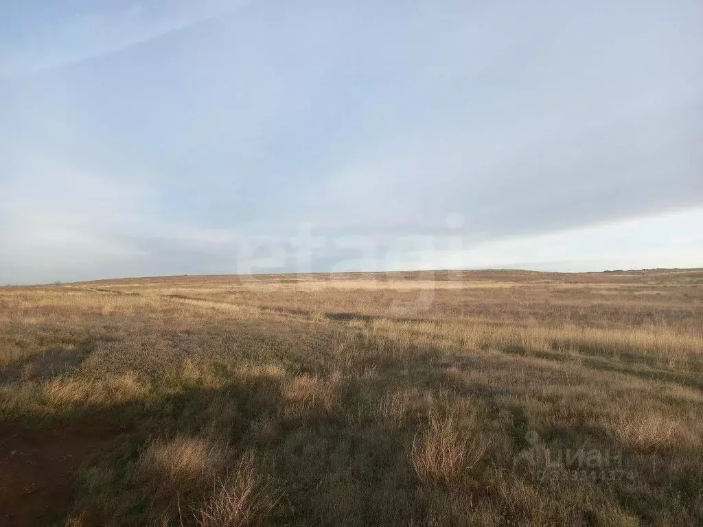 Участок в Крым, Ленино пгт ул. Трудовая (10.31 сот.) - Фото 1