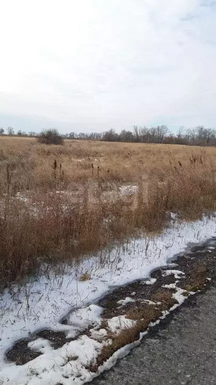 Участок в Курган, микрорайон Тополя (802 м) - Фото 1