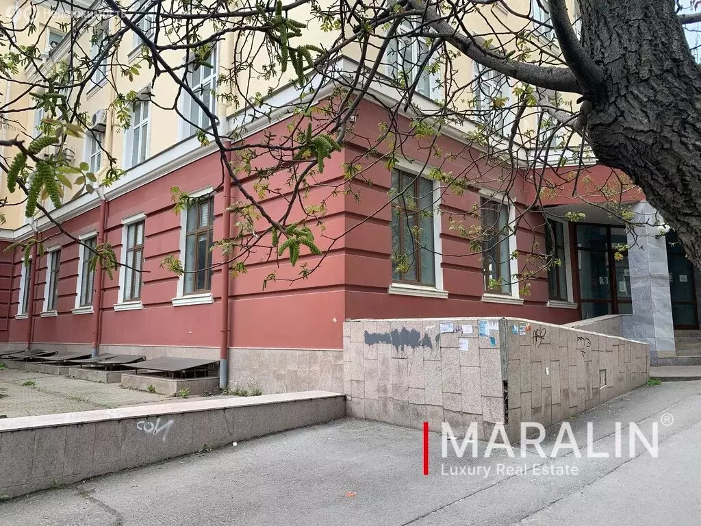 Помещение свободного назначения (250 м) - Фото 0