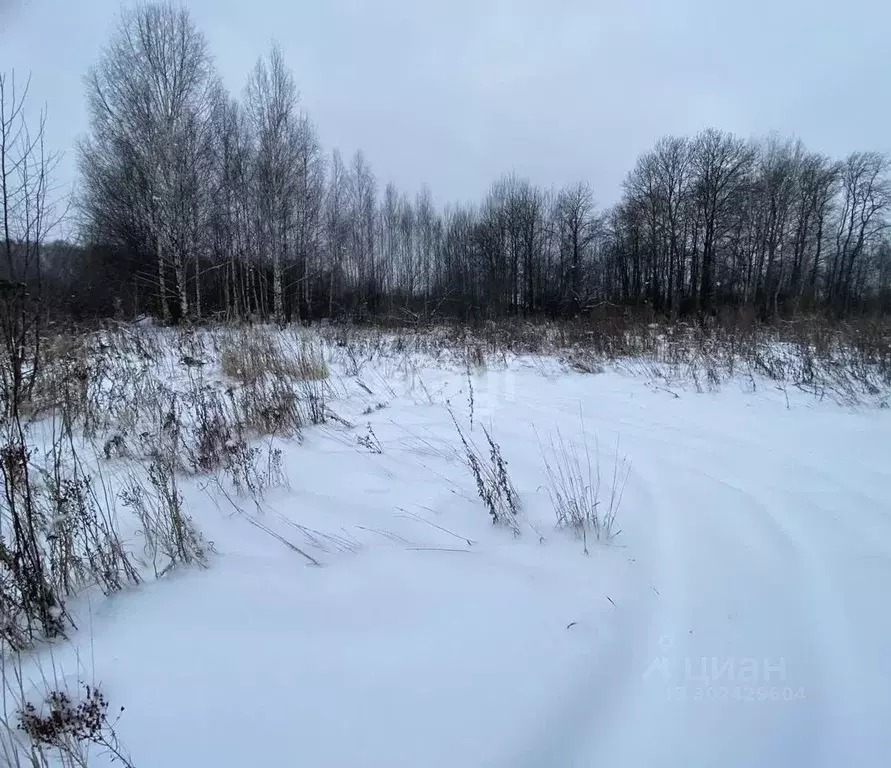 Участок в Владимирская область, Муромский район, с. Ковардицы  (5.0 ... - Фото 0