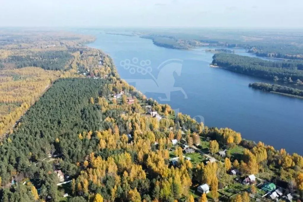 Участок в Тверская область, Кимрский муниципальный округ, д. Селищи  ... - Фото 1