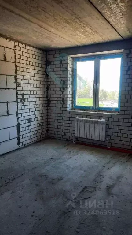 1-к кв. Нижегородская область, Бор пос. Октябрьский, ул. Молодежная, ... - Фото 2