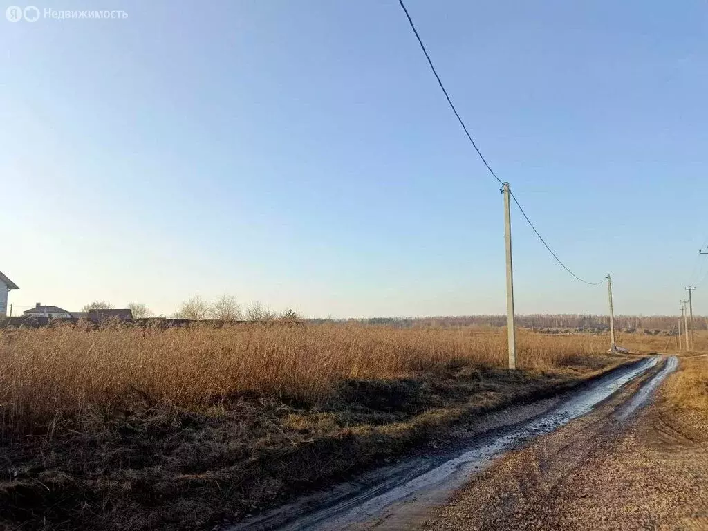Участок в Железногорский район, Разветьевский сельсовет, село Разветье ... - Фото 2