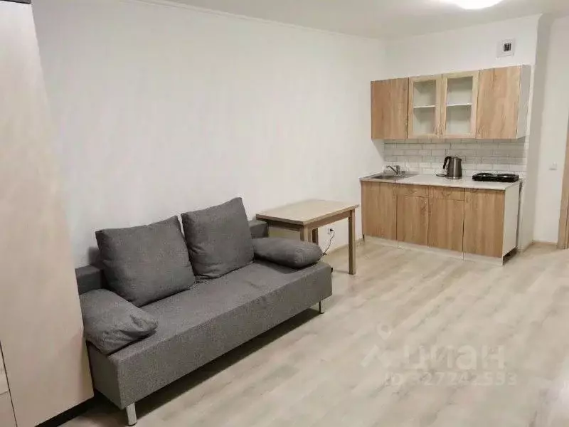 Студия Ленинградская область, Ломоносовский район, Виллозское ... - Фото 1