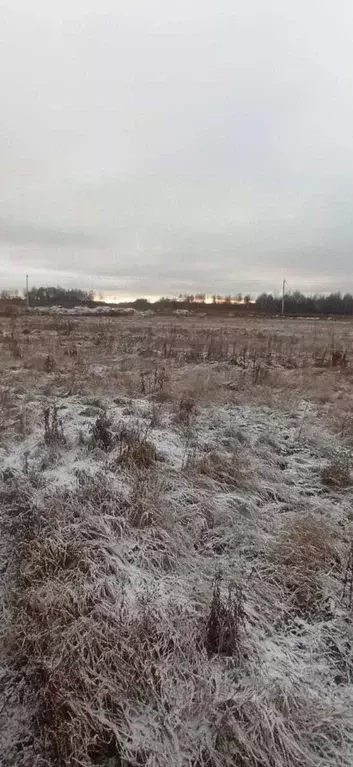 Участок в Московская область, Шатура муниципальный округ, пос. ... - Фото 0