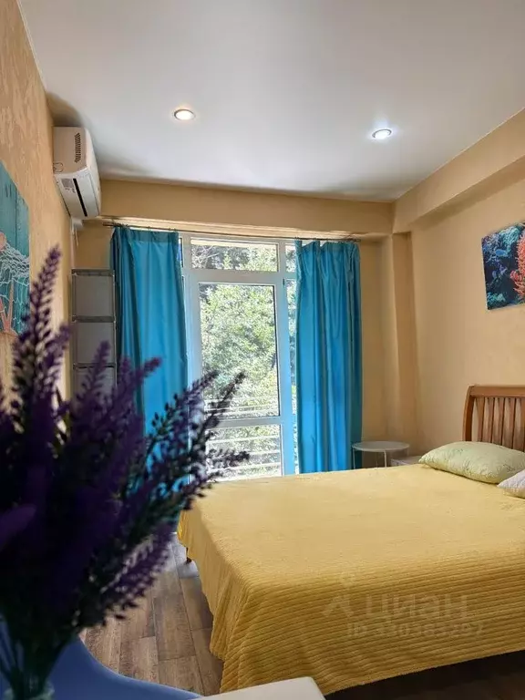 Студия Краснодарский край, Сочи Сухумское ш., 29Б (24.4 м) - Фото 2