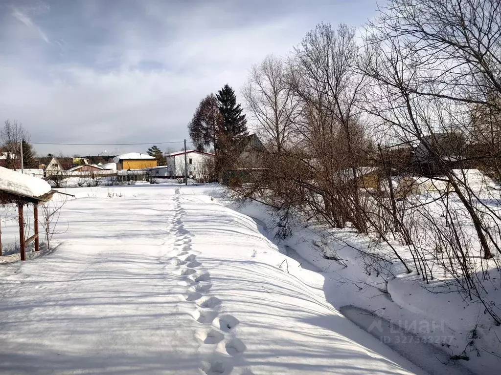 Участок в Новосибирская область, Новосибирск Темп СНТ, аллея ... - Фото 1