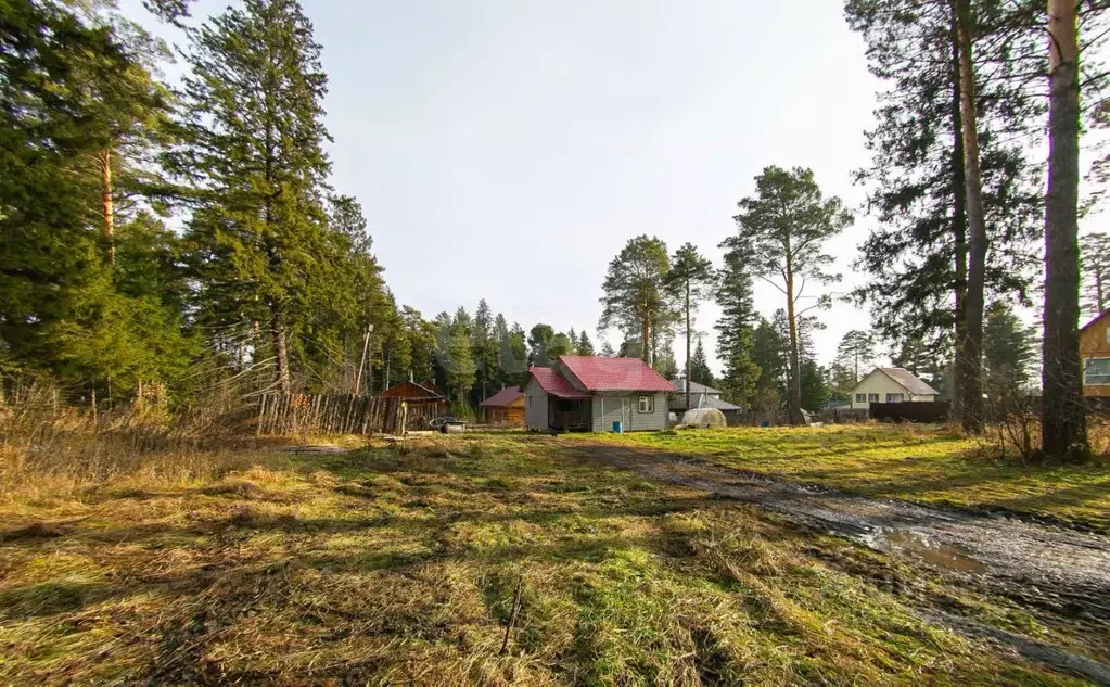 Дом в Томская область, Томский район, с. Корнилово Тихий пер. (56 м) - Фото 2