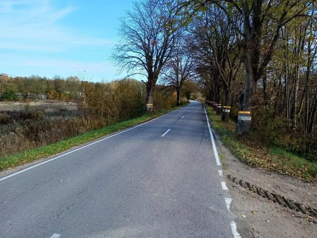 Участок в Калининградская область, Гурьевский муниципальный округ, ... - Фото 2