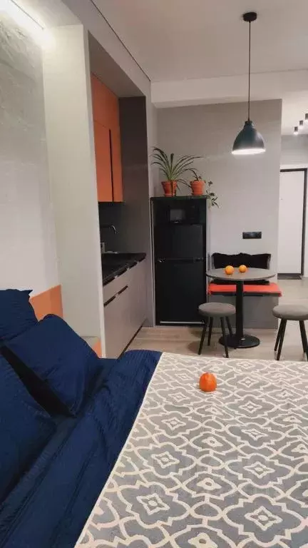 Студия Саратовская область, Саратов Соборная ул., 5/7 (24.0 м) - Фото 1