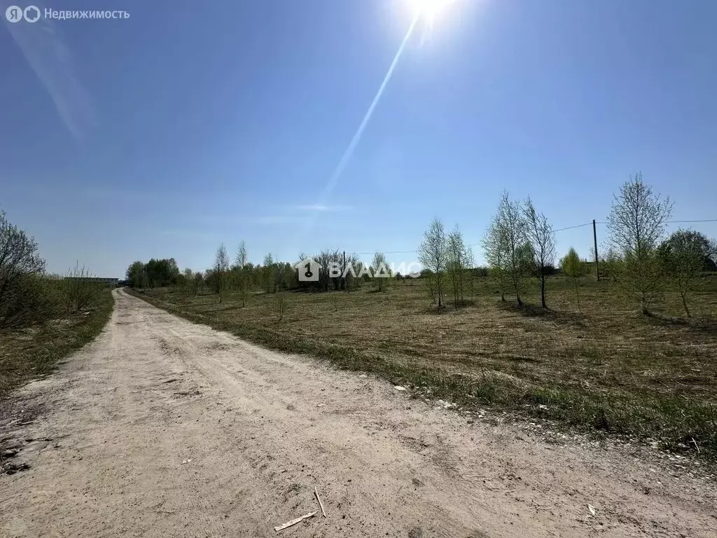 Участок в Нижегородская область, Богородский муниципальный округ, село ... - Фото 2
