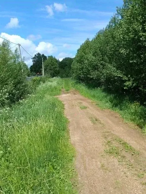 Участок в Тверская область, Старицкий муниципальный округ, д. Калошино ... - Фото 2