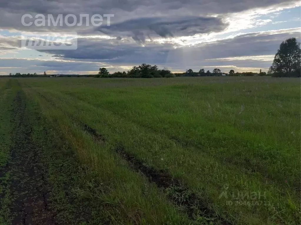 Участок в Башкортостан, Благовещенский район, Тугайский сельсовет, с. ... - Фото 1