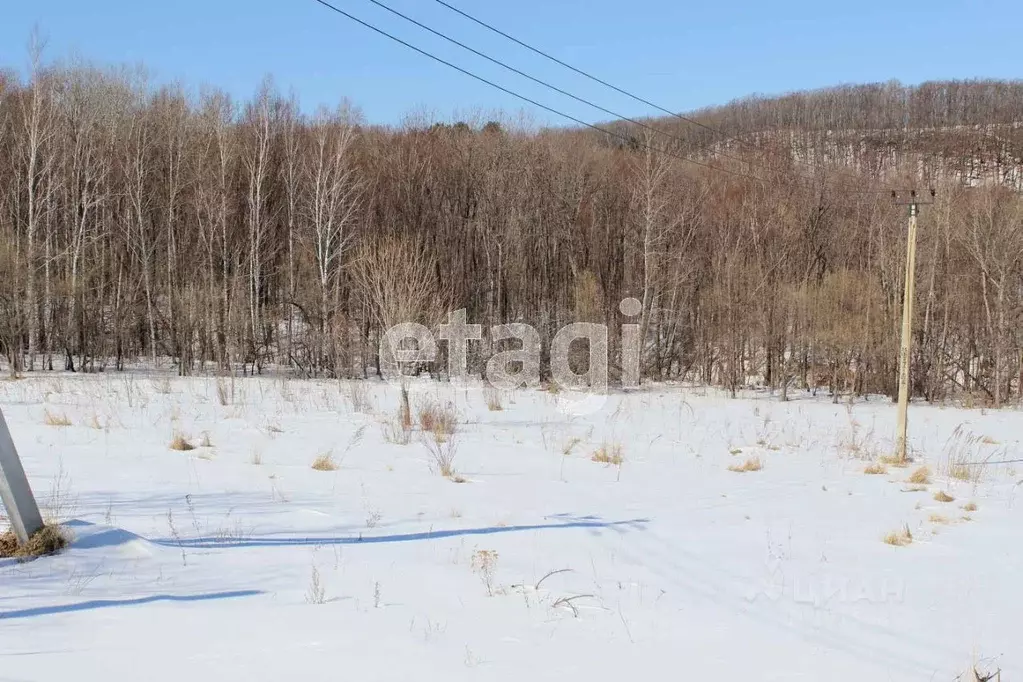 Хабаровский Край Село Мичуринское Купить Дом