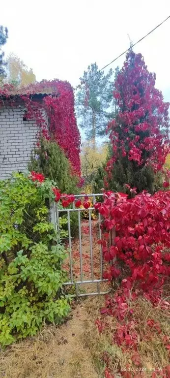 Дом в Новочебоксарск, садоводческое некоммерческое товарищество ... - Фото 2