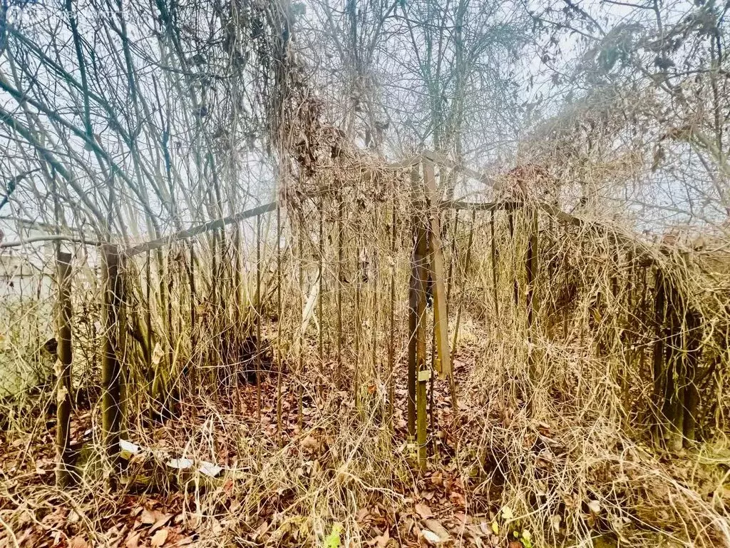 Участок в Чегемский район, СТ Монтажник (469 м) - Фото 2