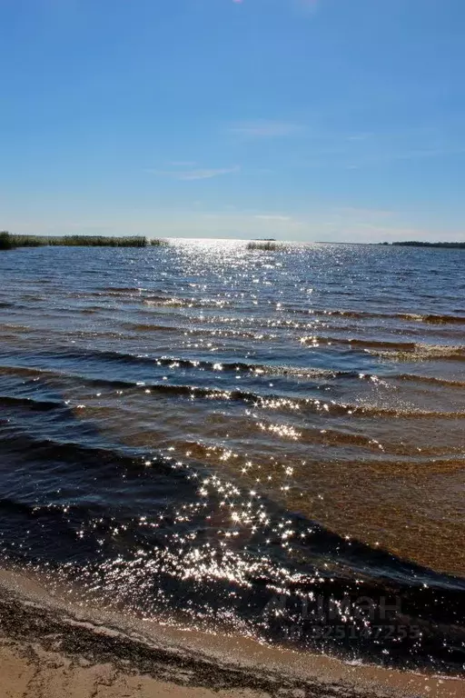 Участок в Карелия, Питкярантский муниципальный округ, д. Карку ул. ... - Фото 1