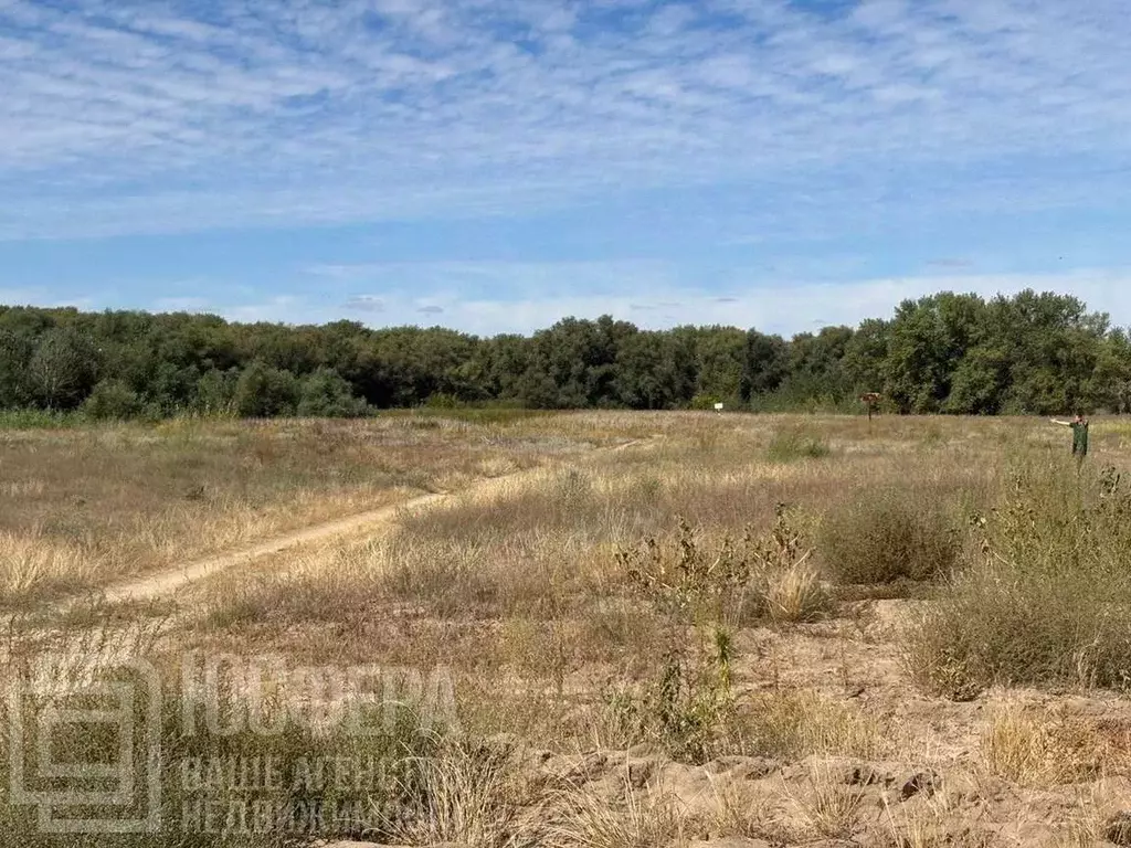 Участок в Волгоградская область, Калачевский район, Ильевское с/пос, ... - Фото 2