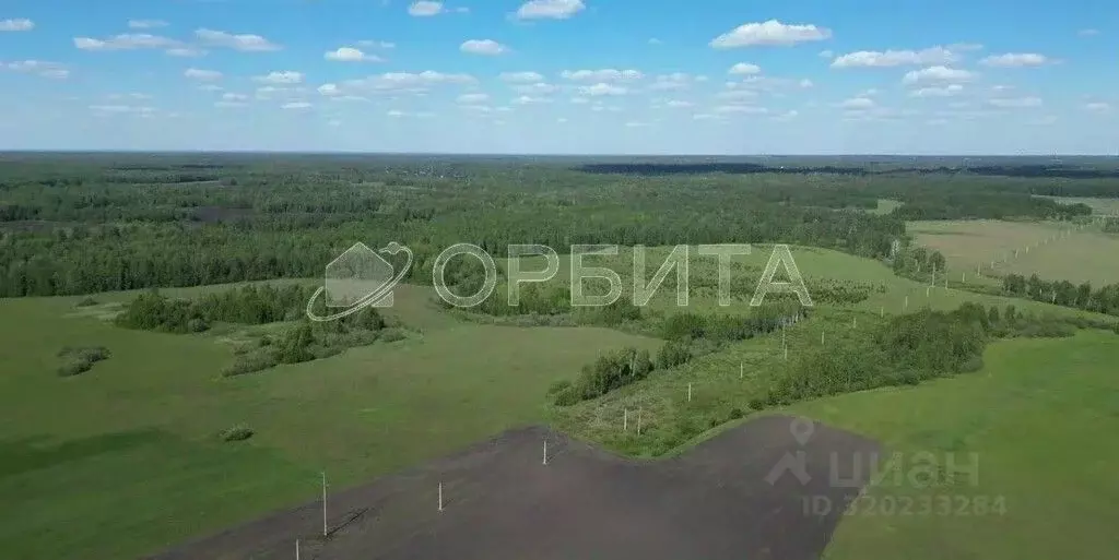 Участок в Тюменская область, Тюменский район, д. Елань, Хвойный кп  ... - Фото 1