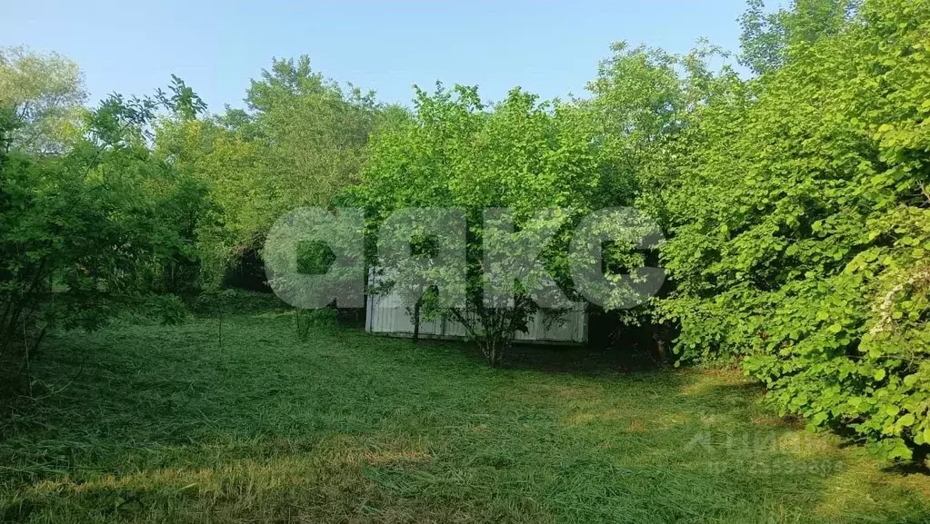 Участок в Краснодарский край, Горячий Ключ муниципальный округ, пос. ... - Фото 2