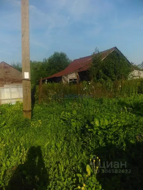 участок в нижегородская область, дальнеконстантиновский муниципальный . - Фото 1