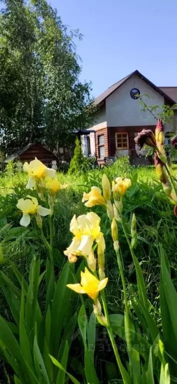 Дом в Ленинградская область, Всеволожский район, Колтушское городское ... - Фото 1