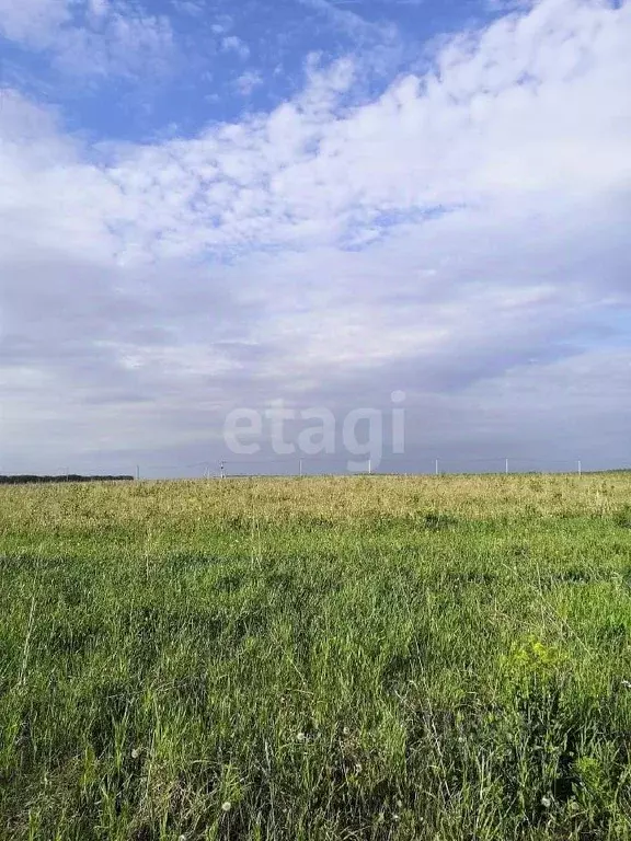 Участок в Кемеровская область, Кемеровский район, с. Елыкаево  (400.1 ... - Фото 0