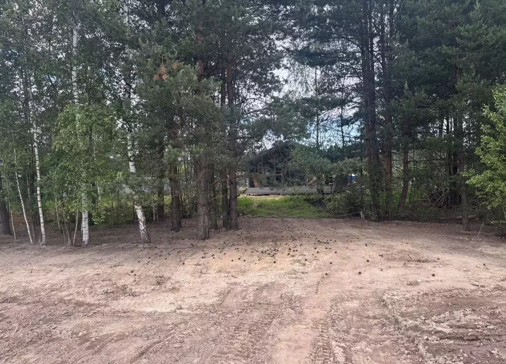 Участок в Московская область, Электроугли Богородский городской округ, ... - Фото 1