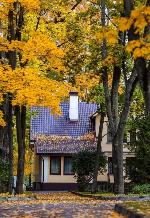 Дом в Санкт-Петербург Петровский просп., 13Д (340 м) - Фото 1