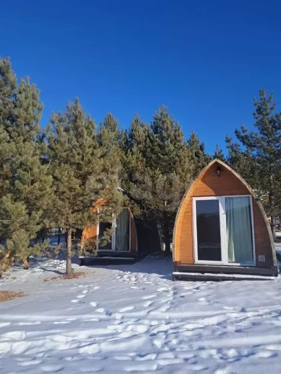 Дом в Алтай, Чемальский район, Элекмонарское с/пос, с. Элекмонар ул. ... - Фото 1