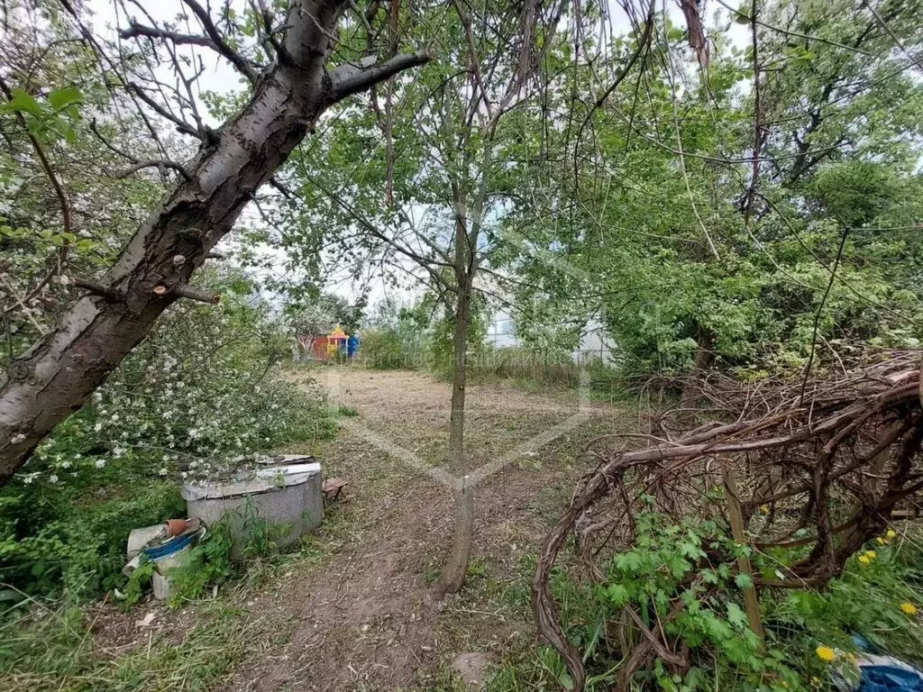 Участок в Калининград, СНТ ЦБЗ-1 (4.9 м) - Фото 2