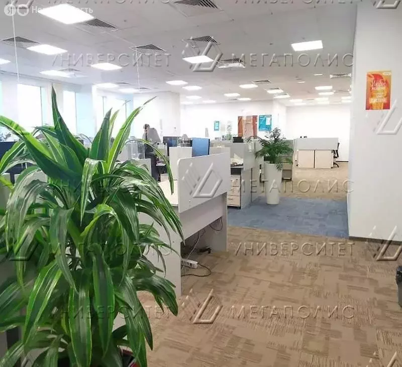 Офис (282 м) - Фото 1