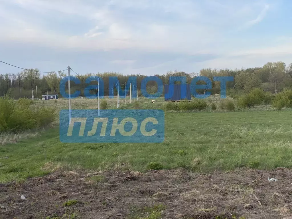 Участок в Калининградская область, Зеленоградский муниципальный округ, ... - Фото 0